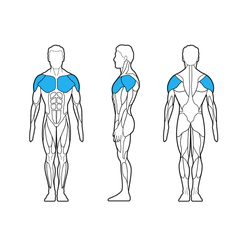 300H Chest / Shoulder Press