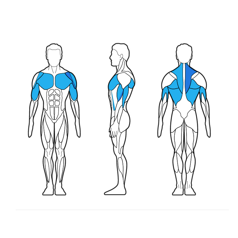 320H Dip / Chin Assist