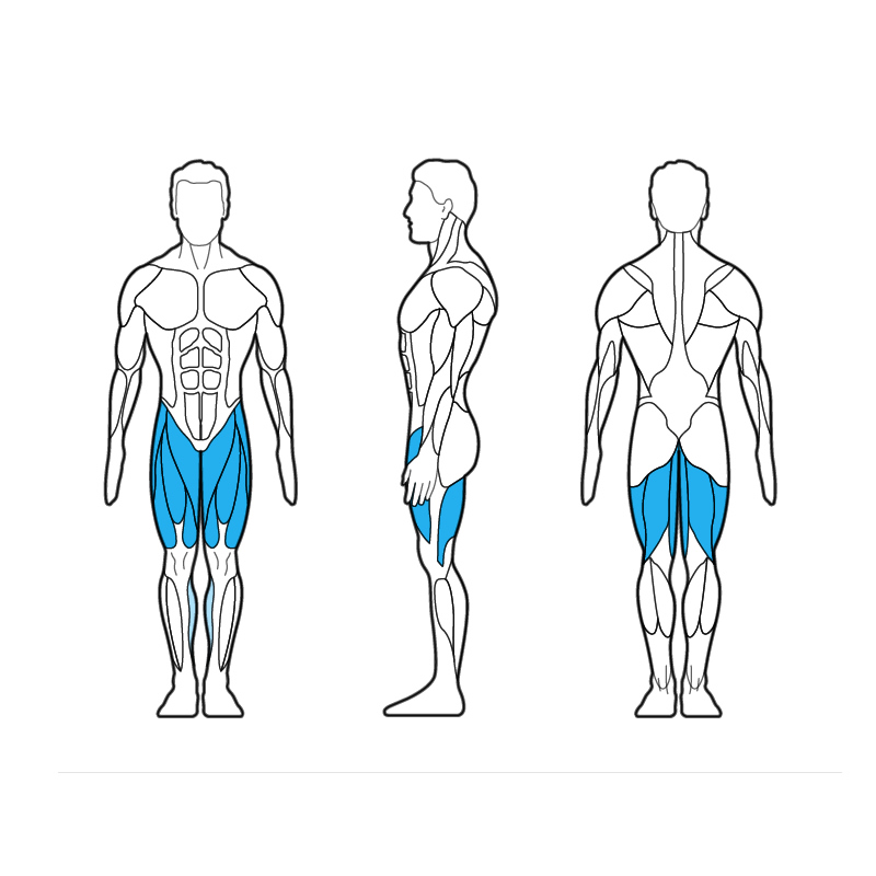 555H Leg Extension / Curl