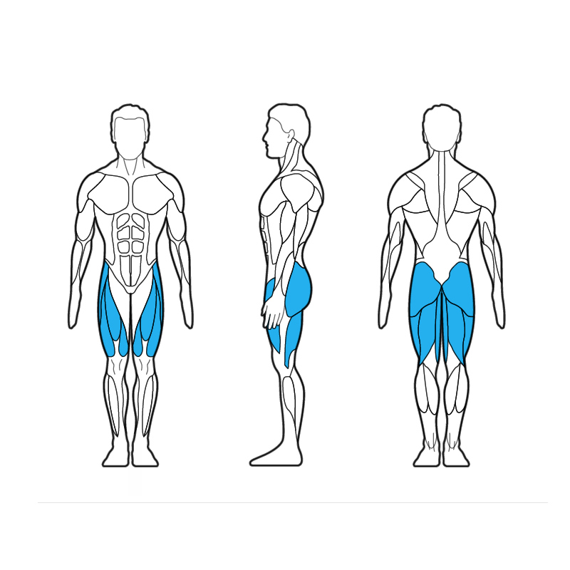 575H Leg Press / Calf Ext
